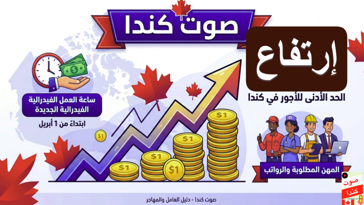 إنفوجرافيك يوضح الحد الأدنى للأجور في كندا بزيادة 18.15 دولار والمهن المطلوبة صوت كندا